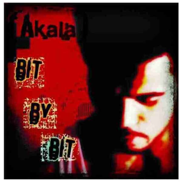 Bit By Bit 12" Vinyl - Akala