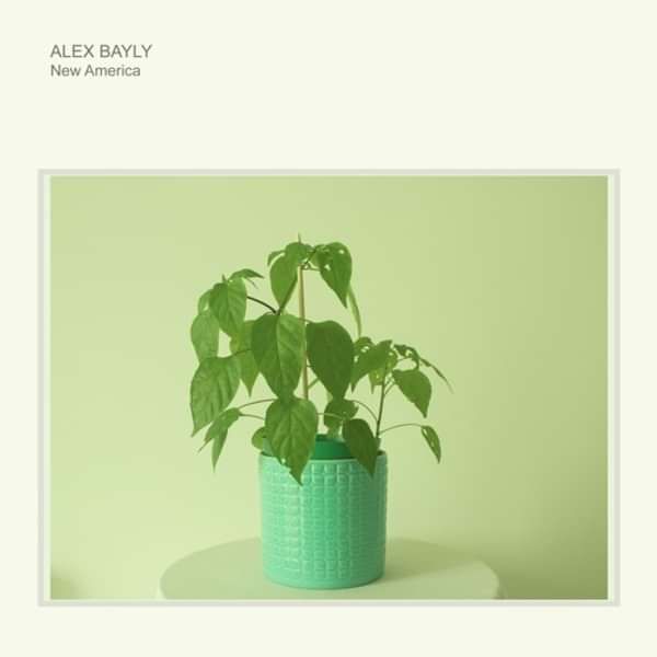 New America - Alex Bayly