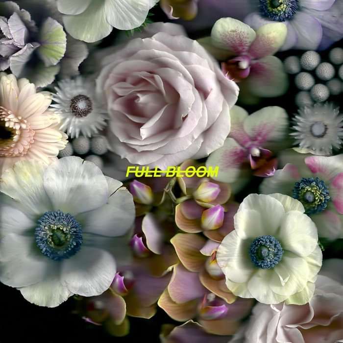 Full Bloom [Digital Download] - Alpines
