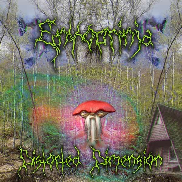 Enkoprinja - Distorted Dimension EP (CD) - Active Meditation Music