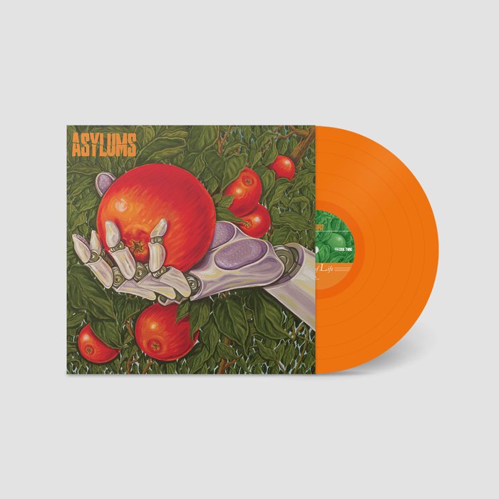 Signs of Life  - Pumpkin Vinyl LP - Asylums
