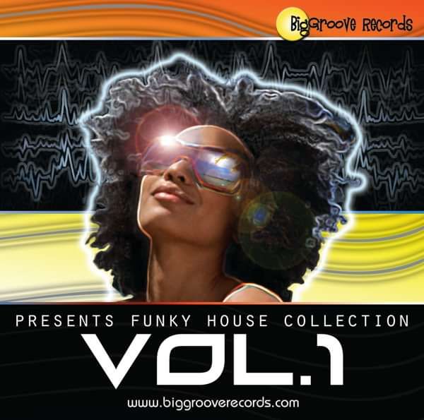 BGR Funky House Vol.1 - Biggroove Music