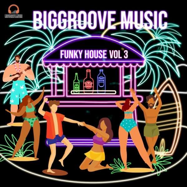 Biggroove Music Funky house volume 3 - Biggroove Music
