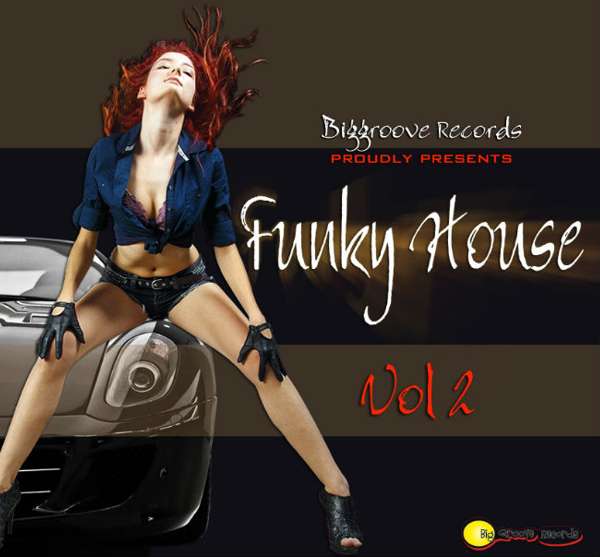 Biggroove Records Funky House Vol 2 - Biggroove Music
