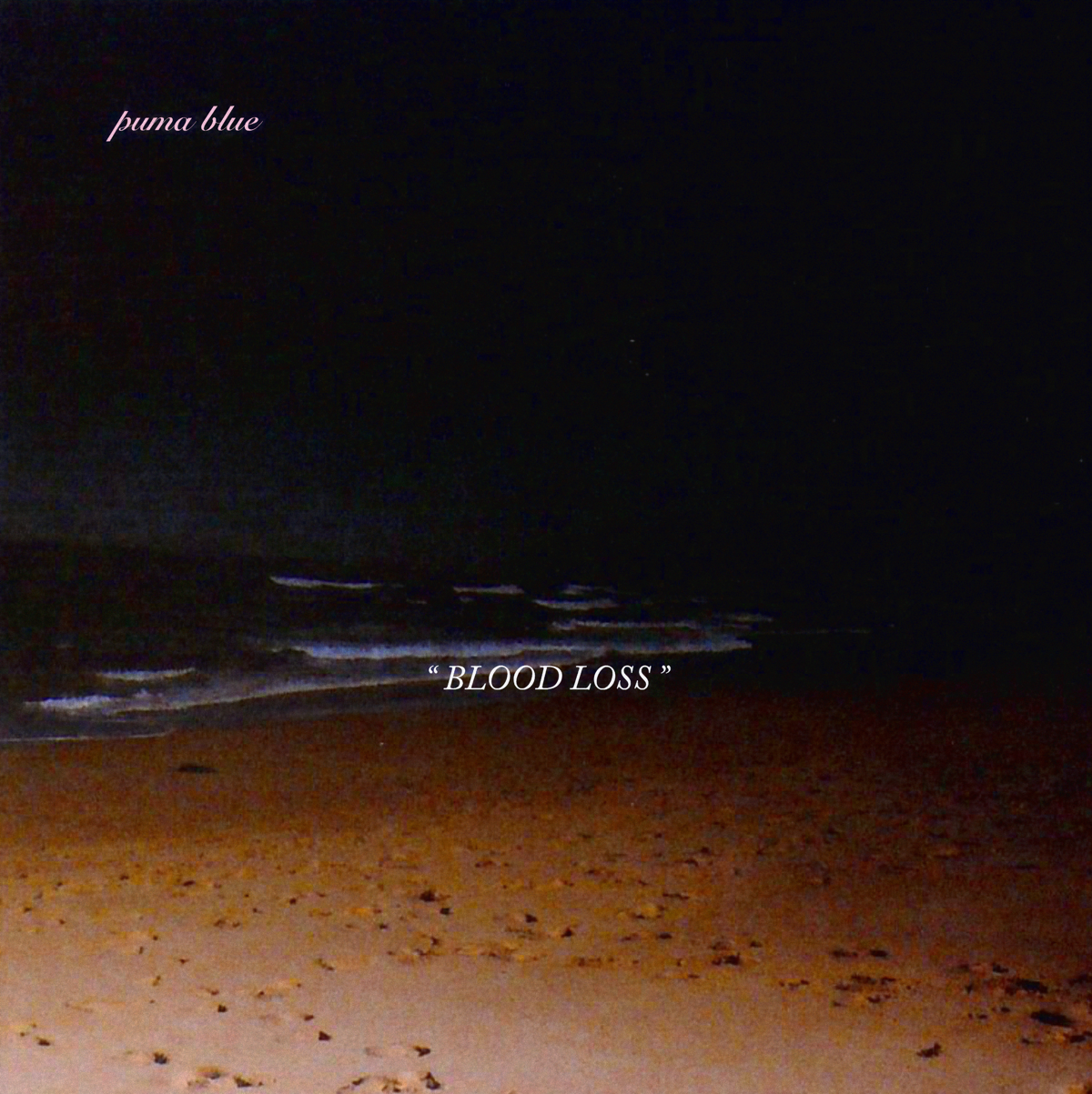 Puma Blue - Blood Loss EP - Blue Flowers USD