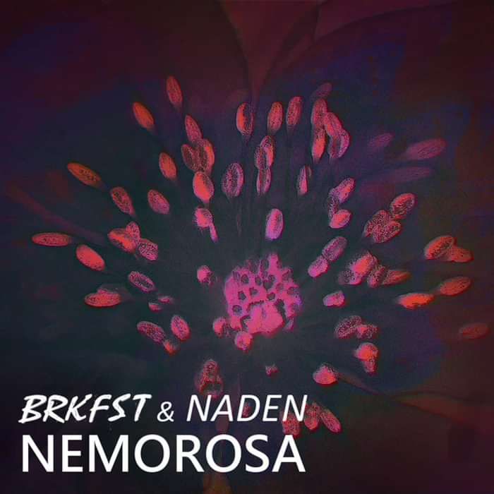 BRKFST & Naden - Nemorosa - Breakfast Exclusive