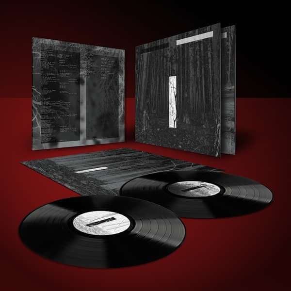 Chris Liebing - Another Day - Black 2xLP - Chris Liebing