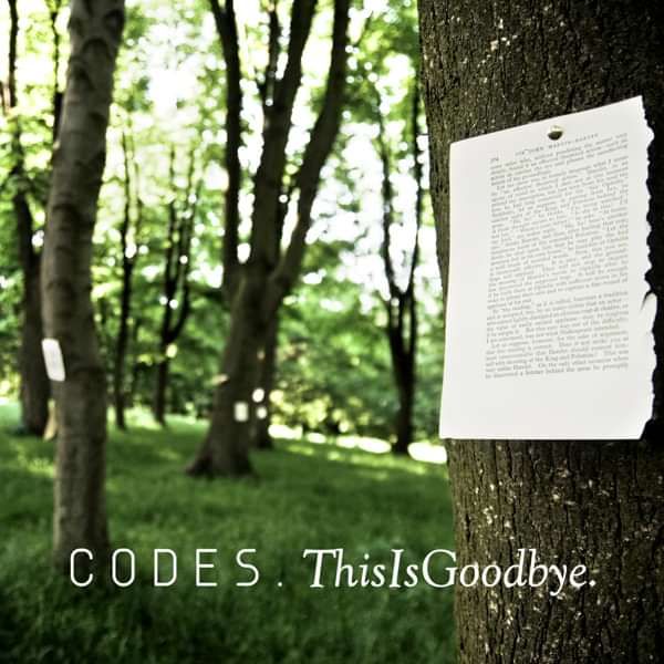 This Is Goodbye [Single] - Codes