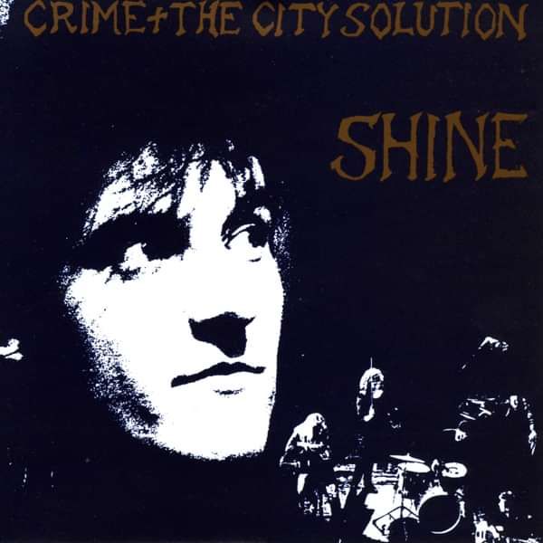 Crime & the City Solution - Shine - Crime & the City Solution