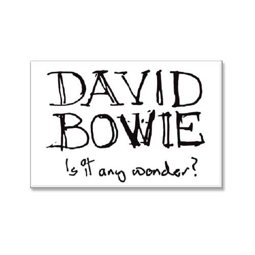 【送料込み】SAINT M×××××× 22AW David Bowie Tシャツ/カットソー(七分/長袖) 純正激安