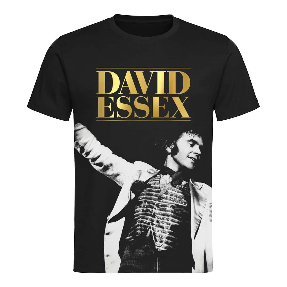 david essex tour merchandise