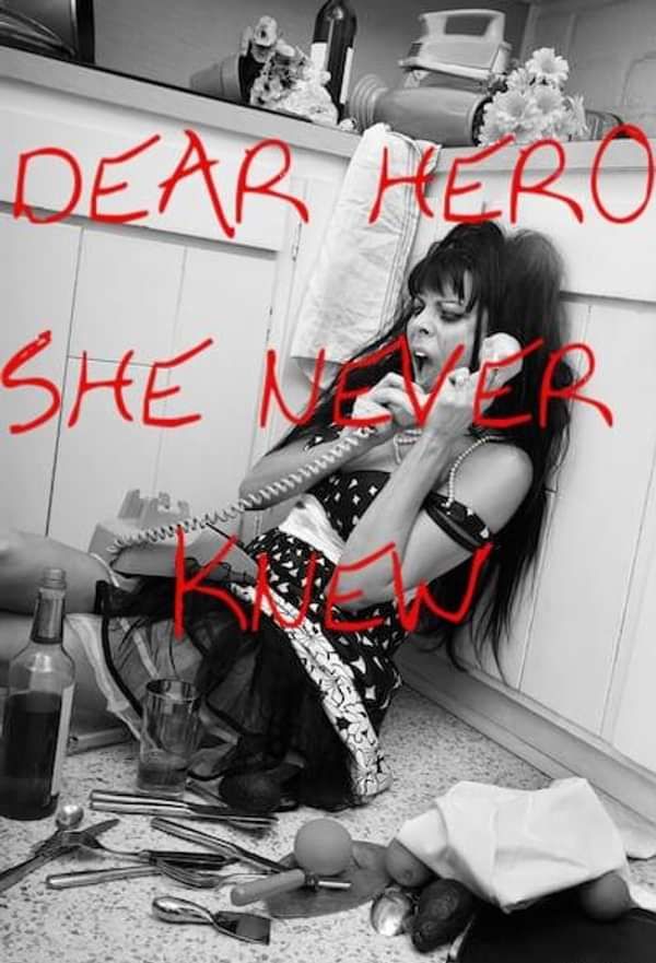 She Never Knew - Dear Hero