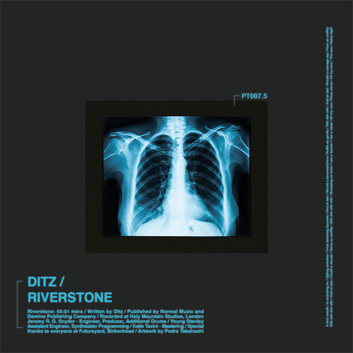 Riverstone 7" vinyl + signed artwork - DITZ