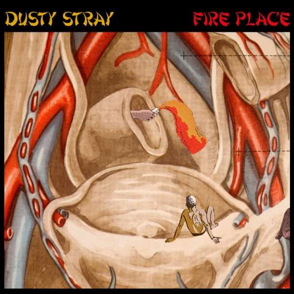 Fire Place VINYL LP - Dusty Stray