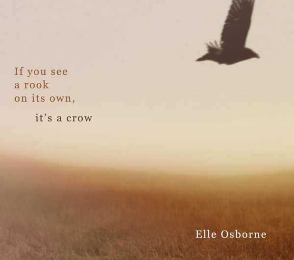 If You See a Rook on its Own, it's a Crow - cd - elle osborne