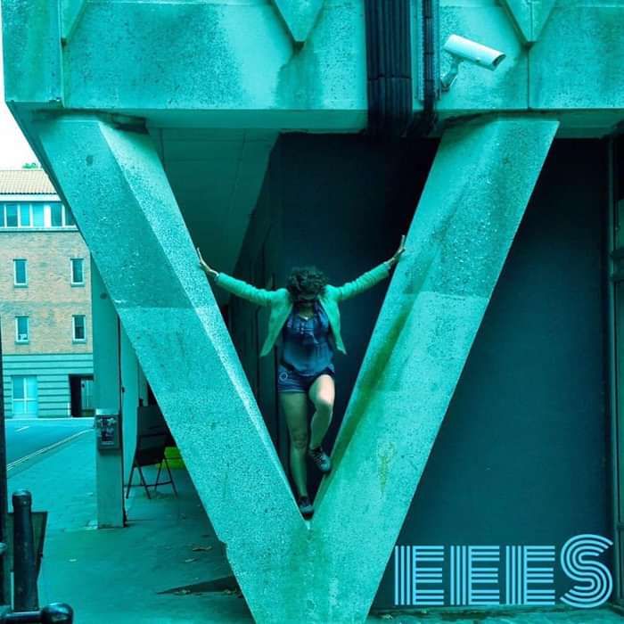 The Veees - Our Children - Exchange Records