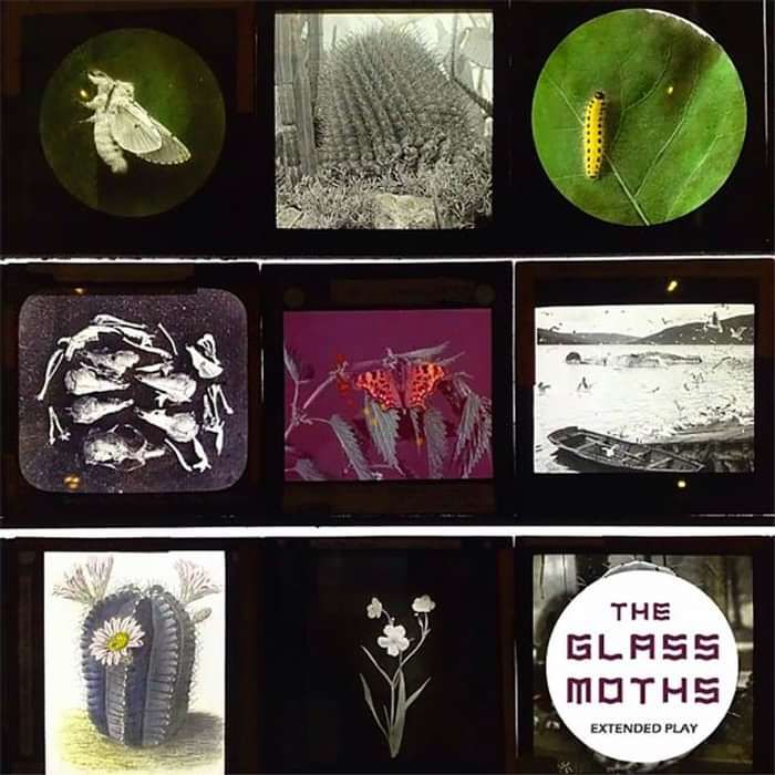 The Glass Moths - Extended Play - Golden Ass Music