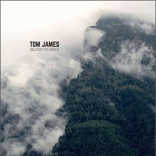 Tom James - Blood To Gold 10" Vinyl - Indie Kitchen