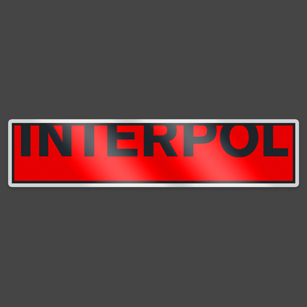 Interpol Enamel Badge - Interpol
