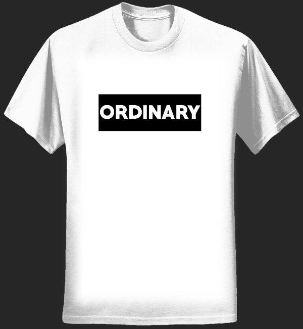 Ordinary Blank T-shirt - Joe Waller