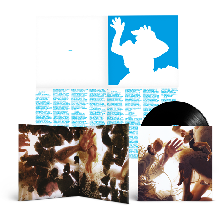 Animal (Deluxe LP + Signed Print) - LUMP