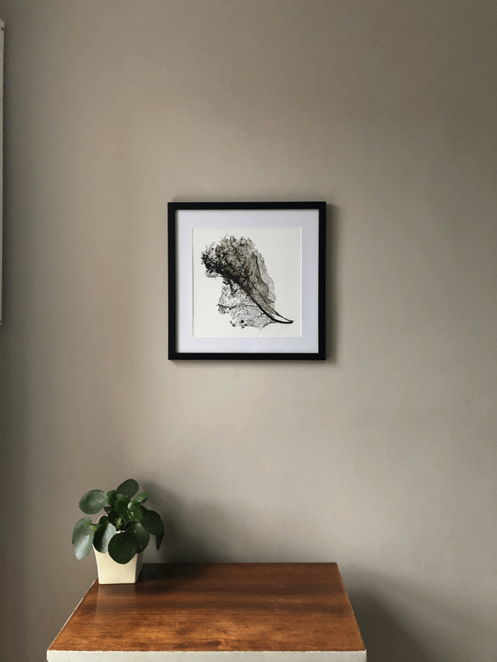 Swarm - Giclée Art Print (Limited Edition) - Max Cooper