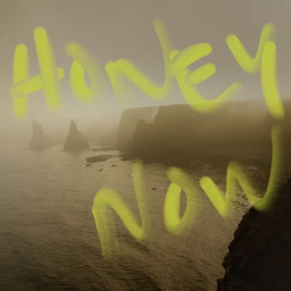 Honey Now - CD - Neon Waltz