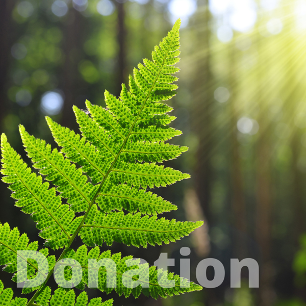 £15 Donation to the Charitable Fund - New Zealand Society (UK)