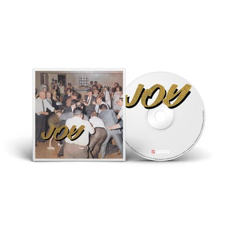 IDLES - Joy As An Act of Resistance CD - Idles Partisan USA