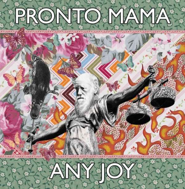 CD Version 'Any Joy' - Pronto Mama