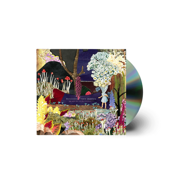 AND NOW FOR THE WHATCHAMACALLIT (CD) - Psychedelic Porn Crumpets