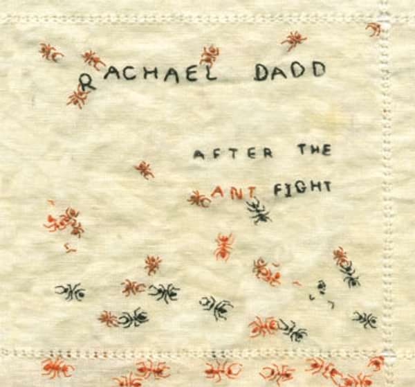 After the Ant Fight - Digital Download - Rachael Dadd