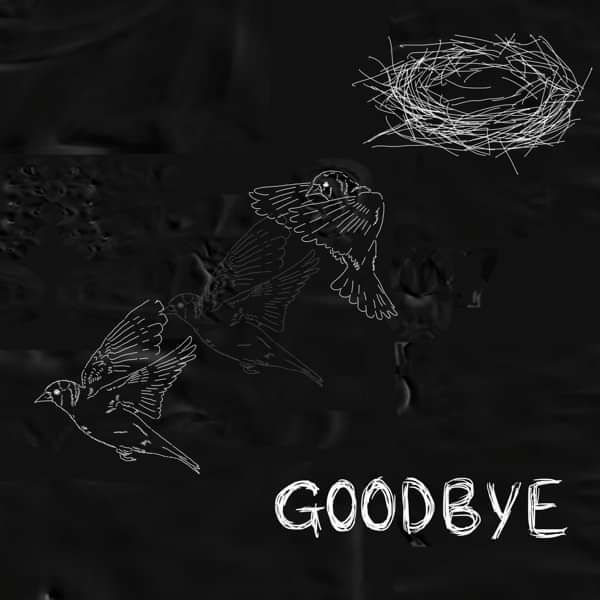 Goodbye - Roisin Dubh