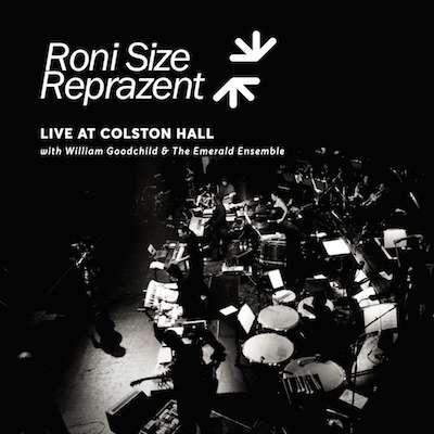 Share The Fall (Extended Preview - FREE DOWNLOAD) - Roni Size