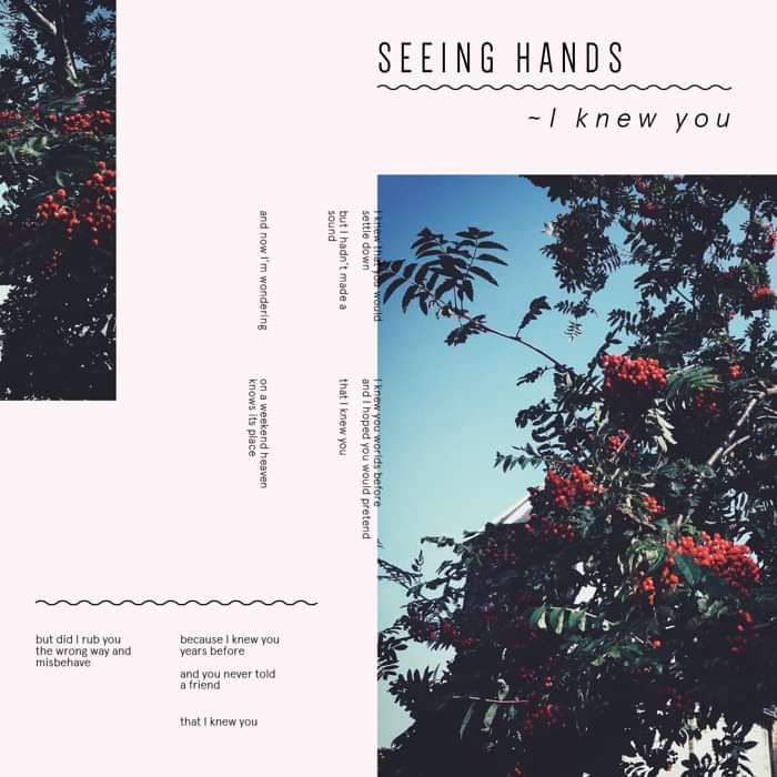 I Knew You - Seeing Hands