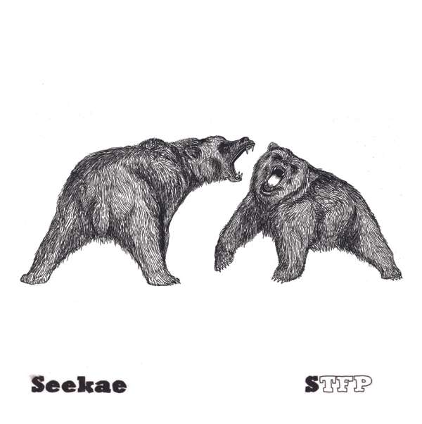 Sounds Of Trees Falling On People - CD - Seekae