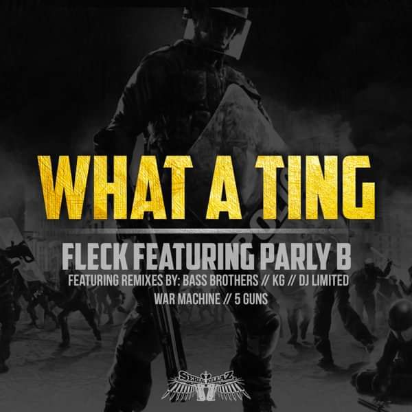 FLeCK Feat. Parly B - What A Ting EP (MP3) - Serial Killaz