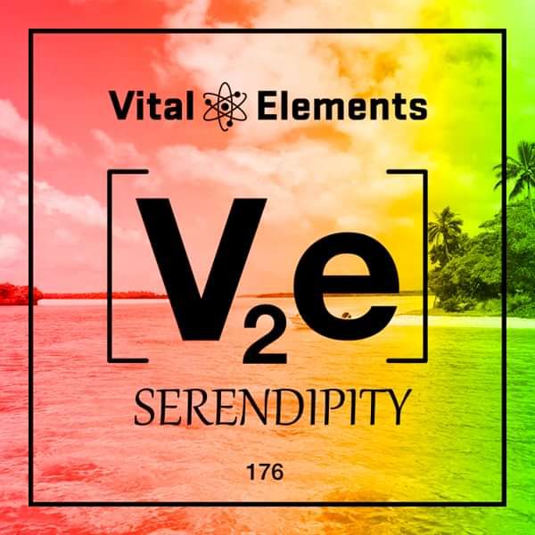 Vital Elements - Serendipity EP - Serial Killaz