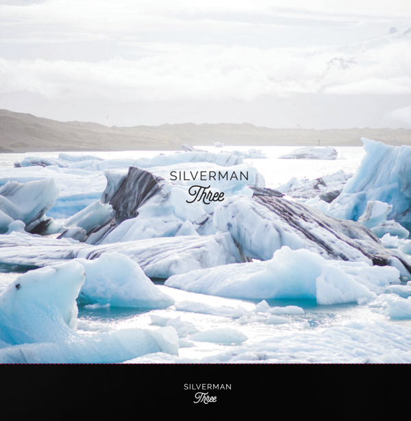 The Silverman Box Set - MP3 - Silverman
