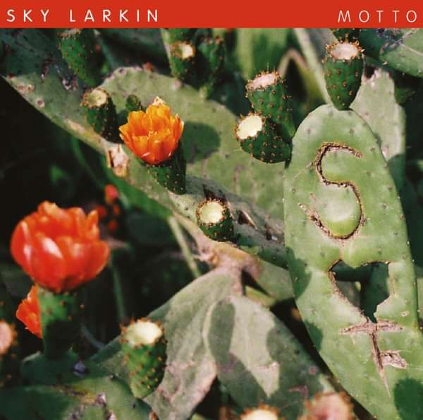 Motto Download (MP3) - Sky Larkin