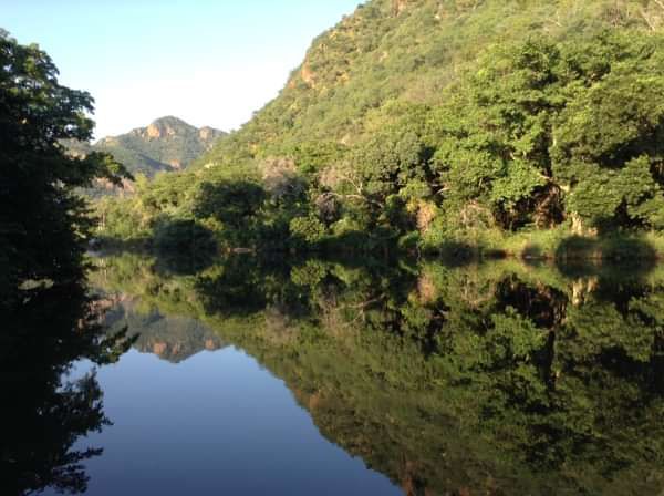 4. On the banks of the Motlatse/Blyde River - Stella Horgan