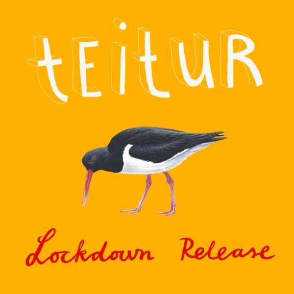Lockdown Release by Teitur - Teitur