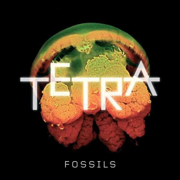 Fossils (Single) EP - Tetra
