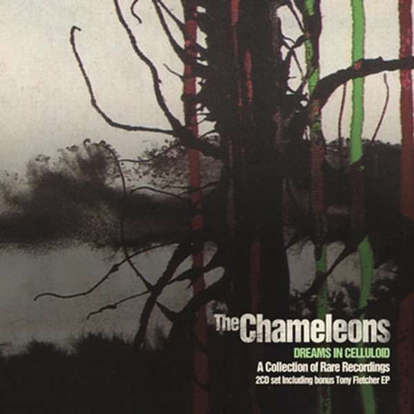 Dreams In Celluloid / Tony Fletcher CD Album - The Chameleons