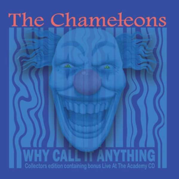 Why Call It Anything / Live in Manchester CD Album - The Chameleons