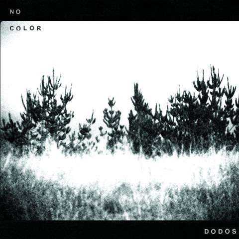 No Color Download (MP3) - The Dodos