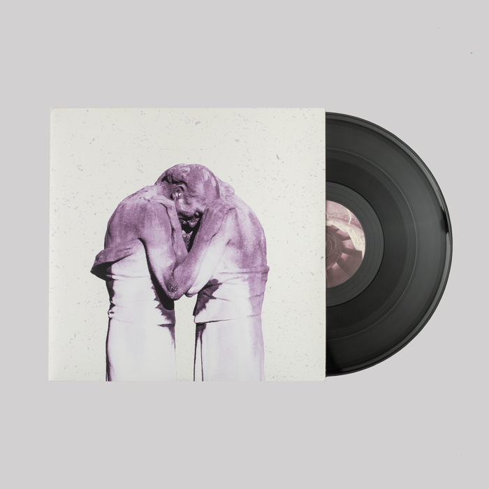 Familiars Vinyl - The Antlers