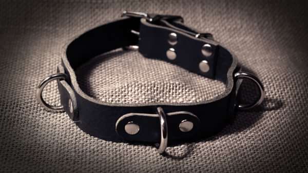 3 Ring Choker - The State