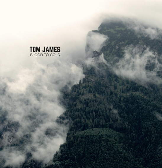 Blood to Gold - 10" Vinyl - Tom James