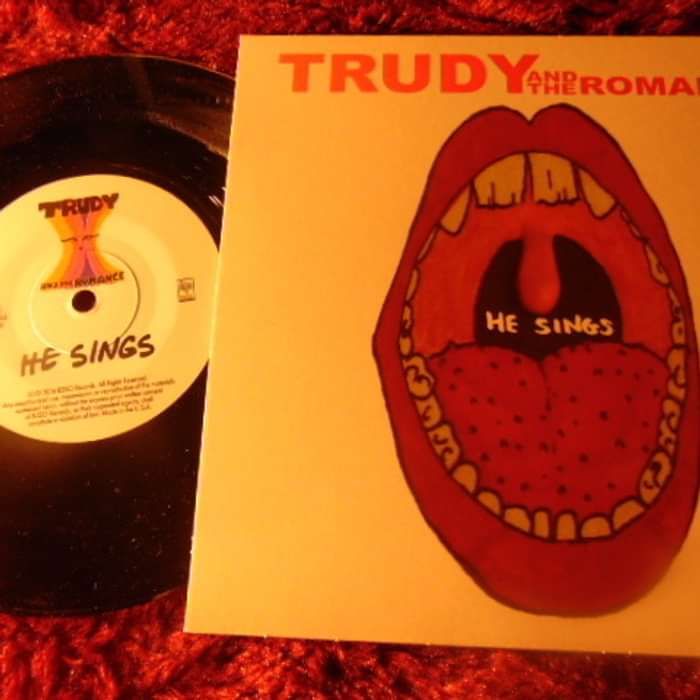 He Sings // Wild (7" Vinyl) - Trudy and the Romance